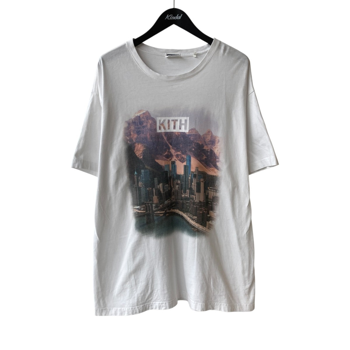 KITH Treats キス トリーツ Lake Vintage ヴィンテージ Tシャツ KITH Treats キス トリーツ Lake Vintage ヴィンテージ Tシャツ