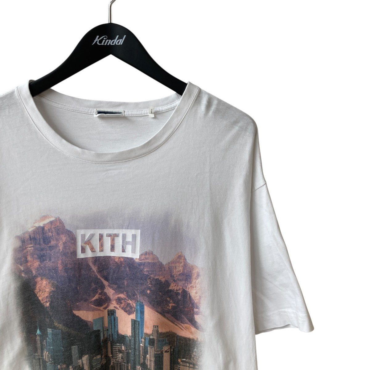 KITH Treats キス トリーツ Lake Vintage ヴィンテージ Tシャツ KITH Treats キス トリーツ Lake Vintage ヴィンテージ Tシャツ