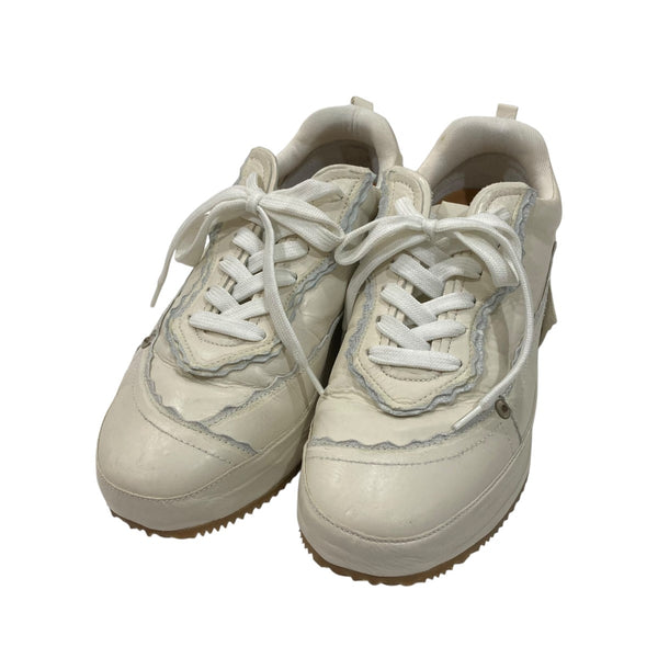 8003001584687_1_grande.jpg?v=