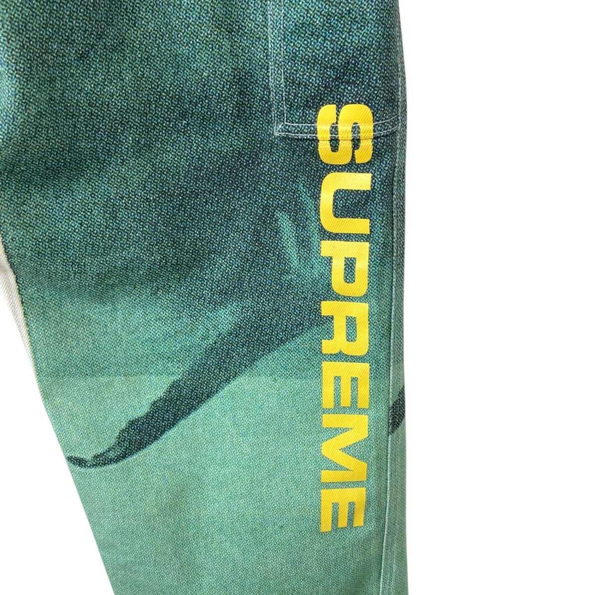 Supreme(シュプリーム) 25SSDAMIEN HIRST PAINTER JEAN ダミアン