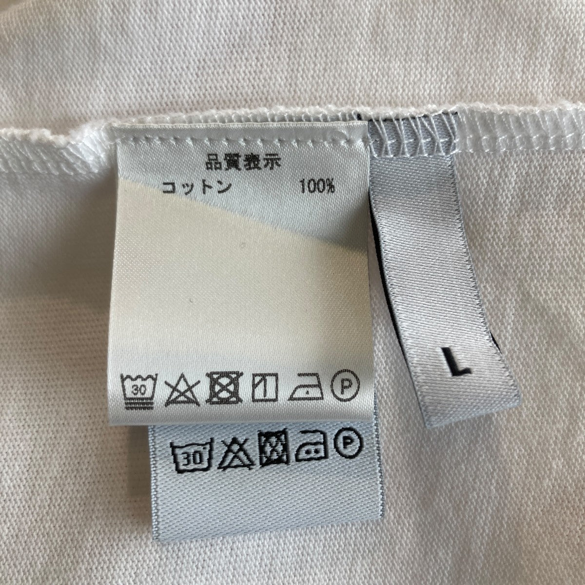 24AWSCIENCE MULTI LOGO SS TTシャツ