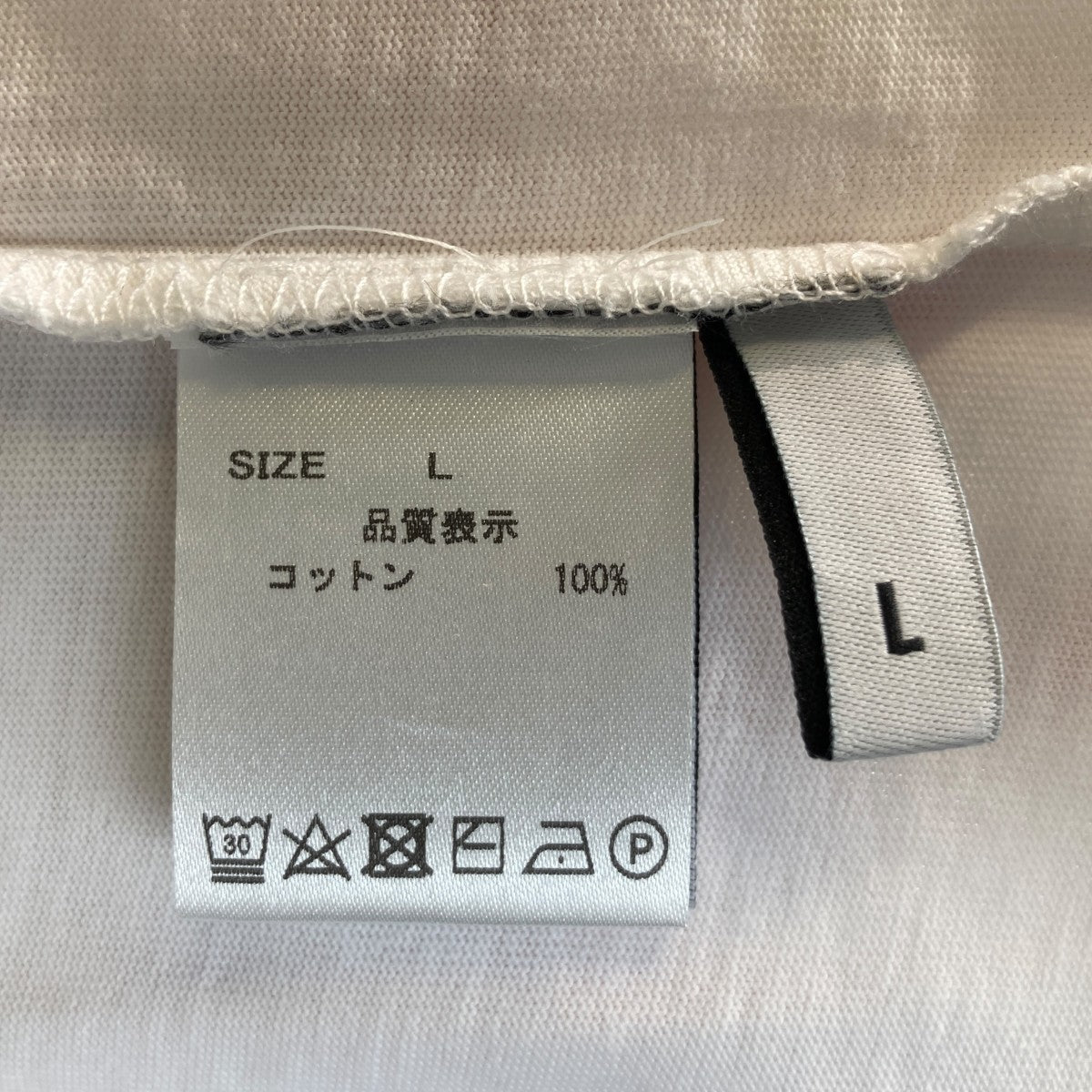 SATELLITE L S TEETシャツ