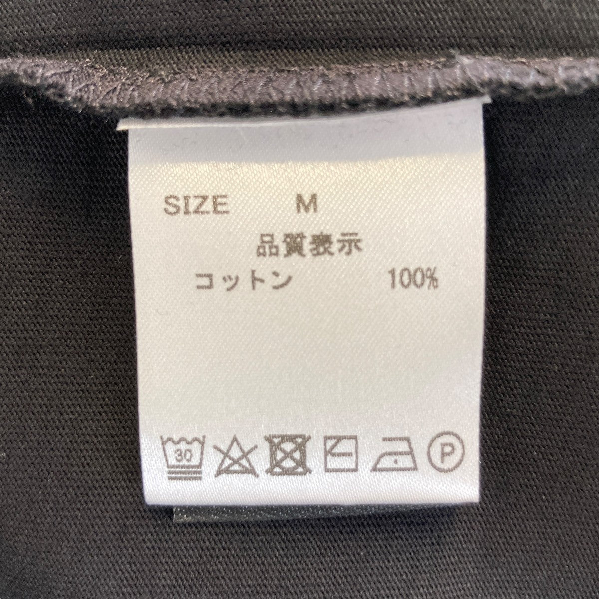 SATELLITE L S TEETシャツ