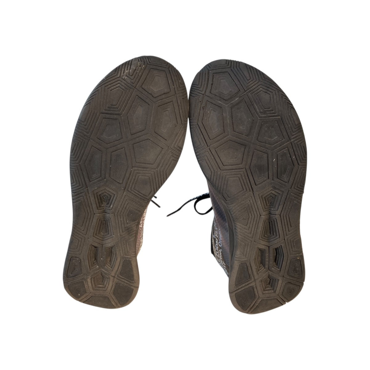 Zoom FlyローカットスニーカーAJ4588 001