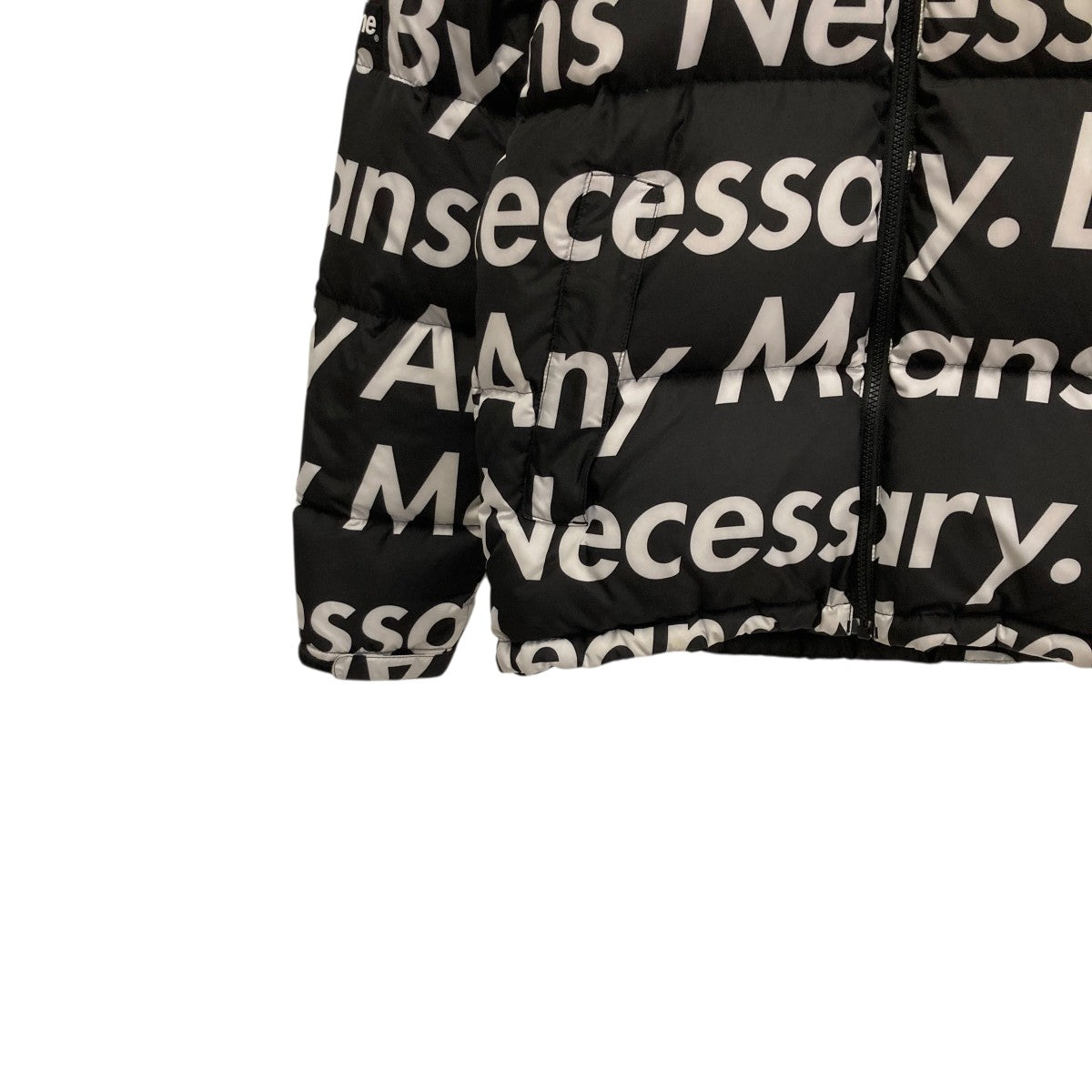 Supreme×THE NORTH FACE 15AWBY ANY MEANS NUPTSE JACKETダウン