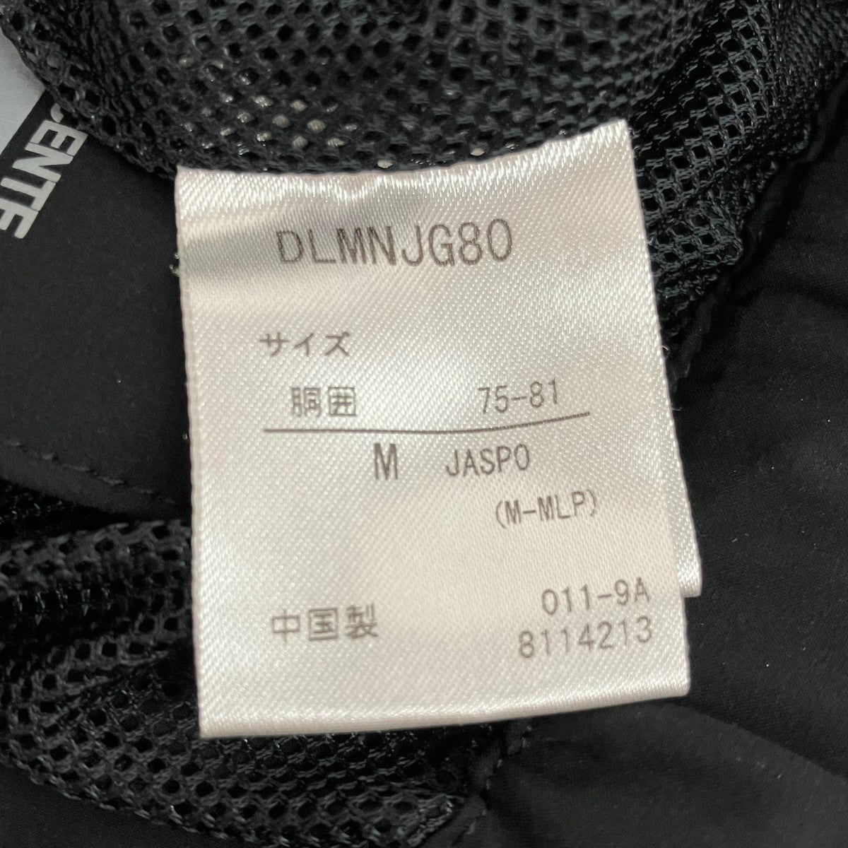 DESCENTE PACKABLE PANTSイージーパンツdjmnjg80 古着・中古-8枚目のアイテム画像