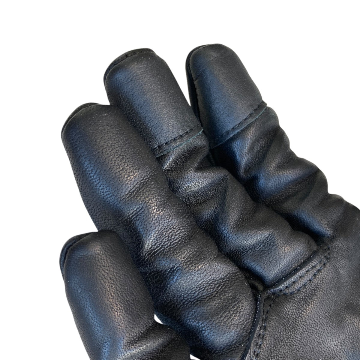 D．HYGEN×THE VIRIDI-ANNE Horse Leather Long Gloveレザーロング