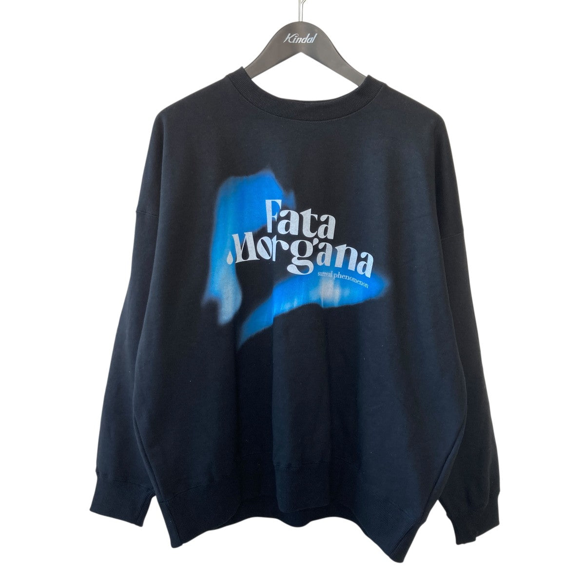TAUPE FATAMORGANA LOOSE SWEAT SHIRTSスウェットトレーナーTPM26106003 古着・中古-1枚目のアイテム画像