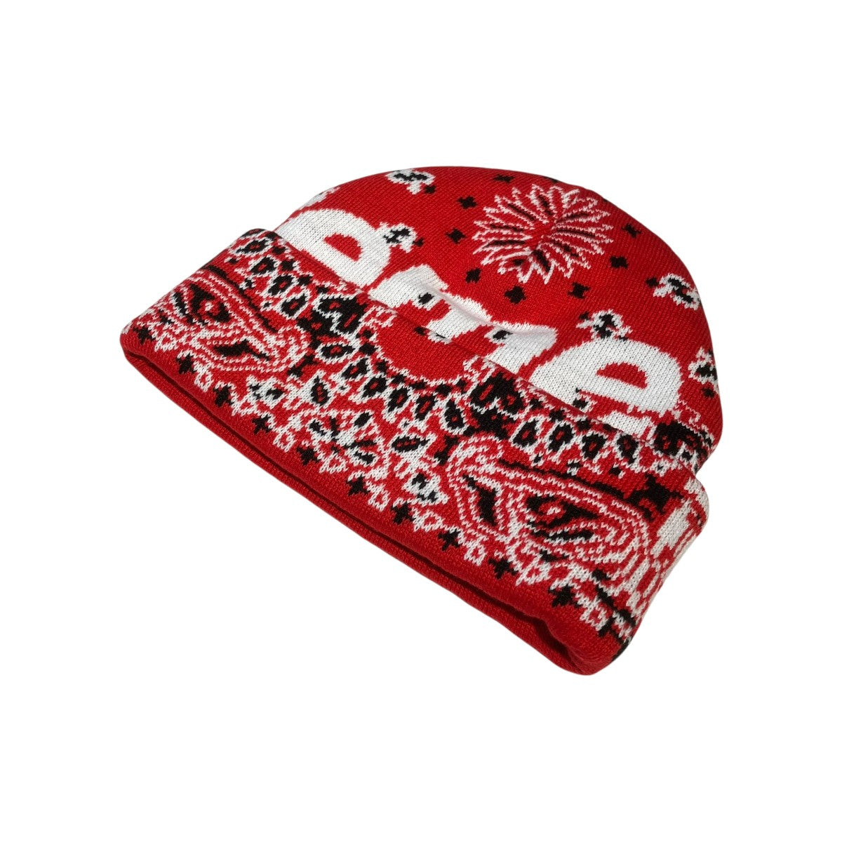 Bandana Big Logo Beanieニットキャップ