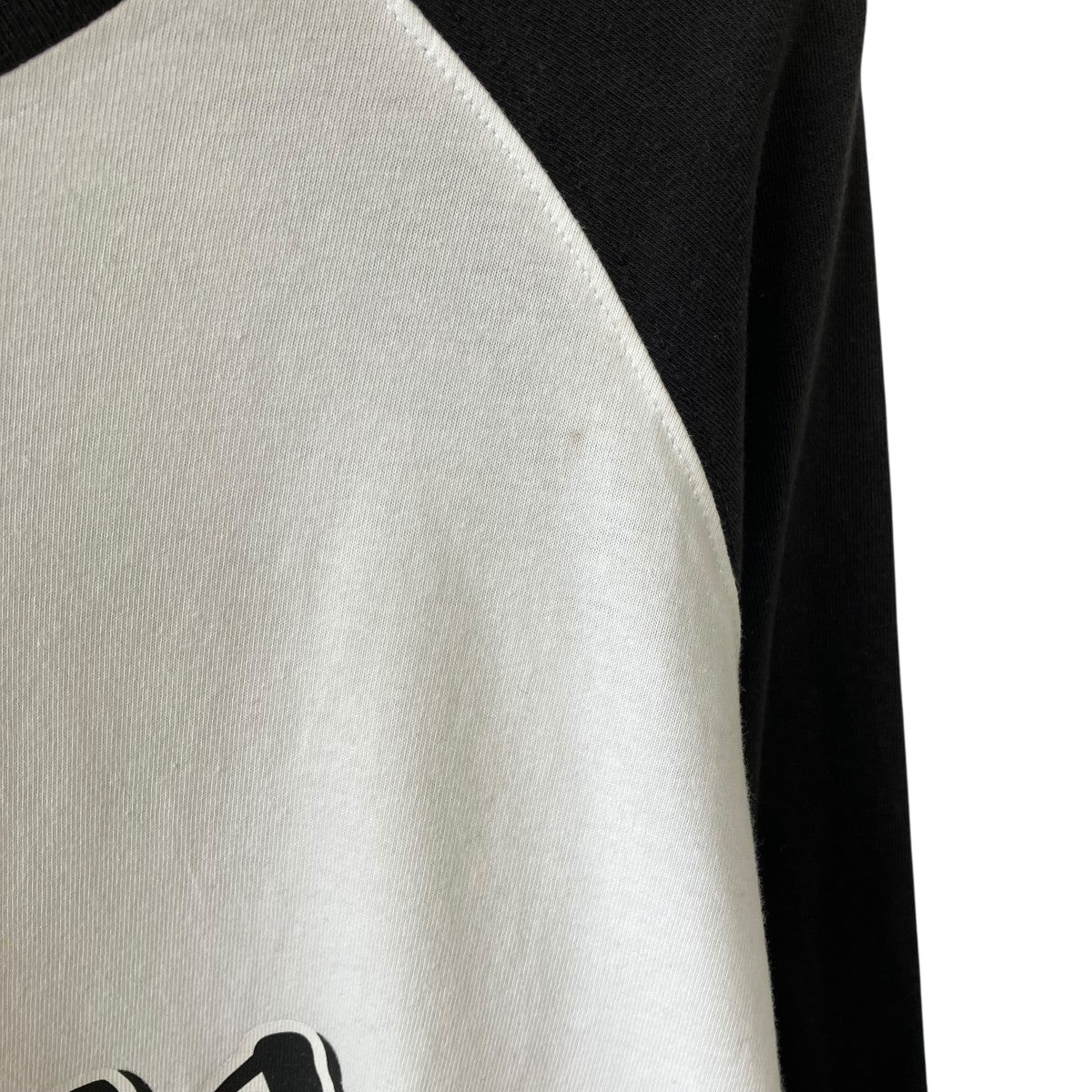 PALACE HANSHIN TIGERS RAGLAN LONGSLEEVEロングカットソー 古着・中古-8枚目のアイテム画像