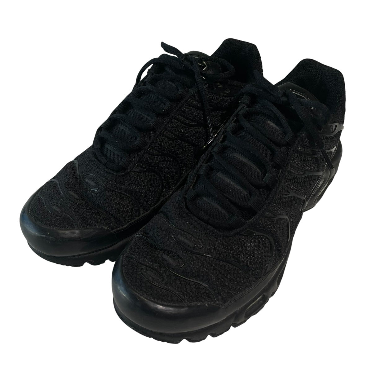 Air Max Plusスニーカー604133-050