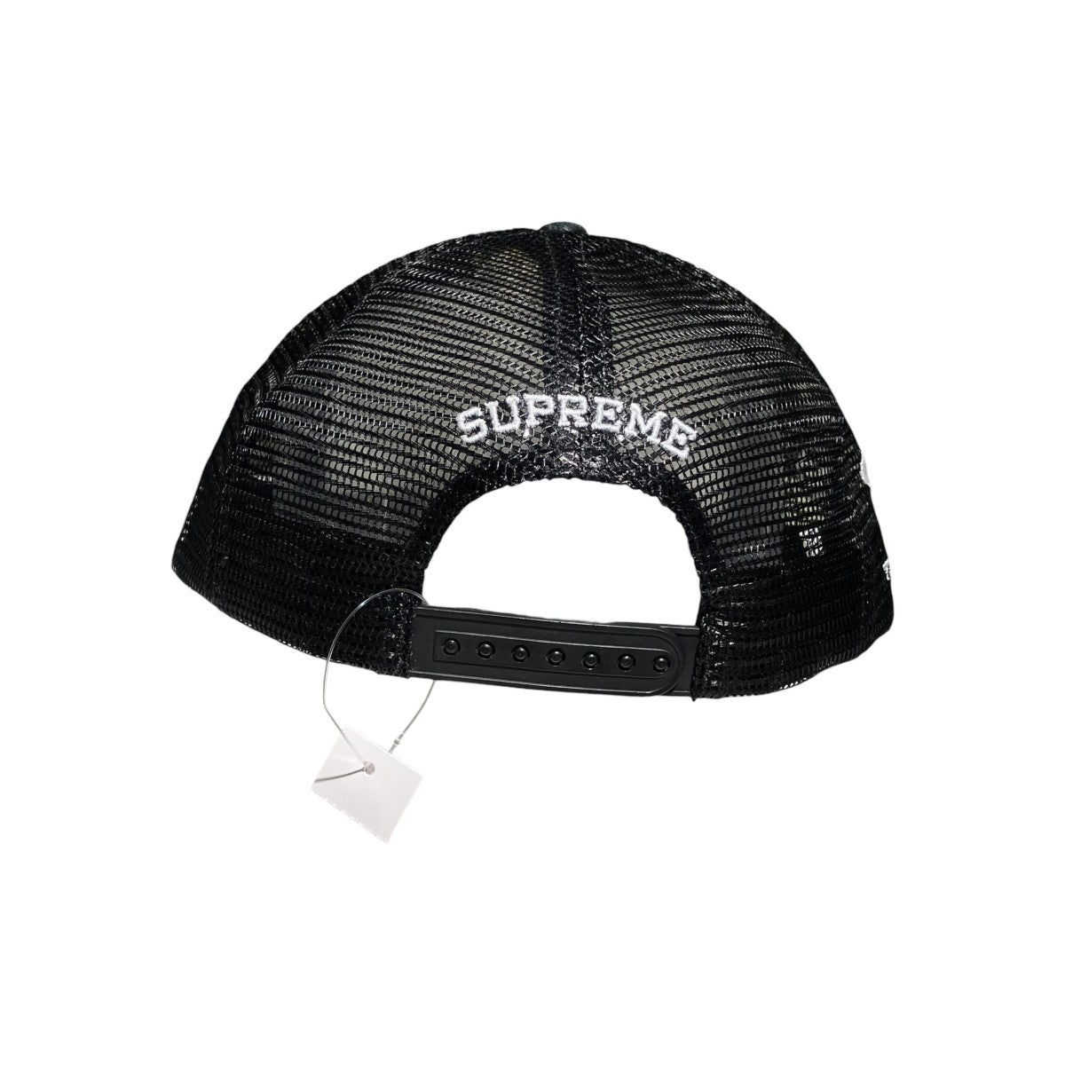 Pinup Mesh Back 5-Panelメッシュキャップ