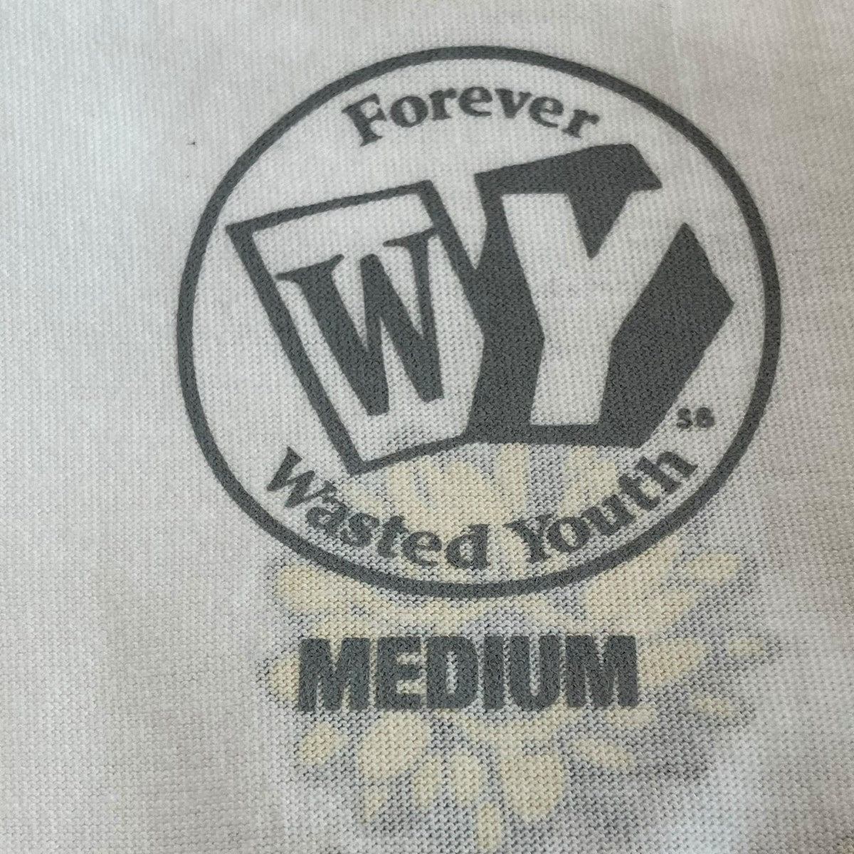 Wasted Youth×KIT GALLERY 半袖Tシャツ 古着・中古-5枚目のアイテム画像