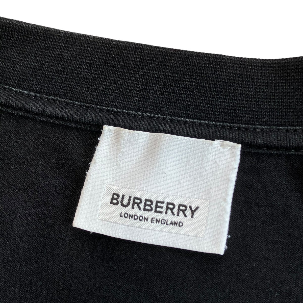 Tシャツ8030940