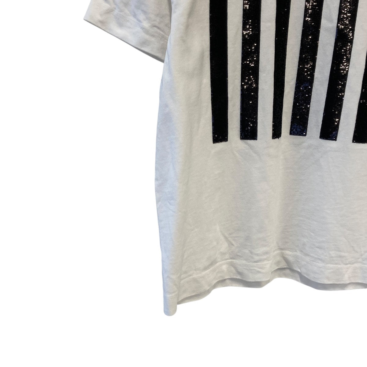Tシャツ2F4RTP050C83
