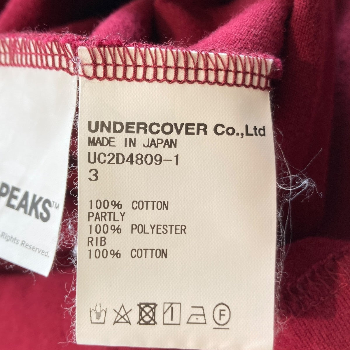 24AWプリントTシャツUC2D4809-1