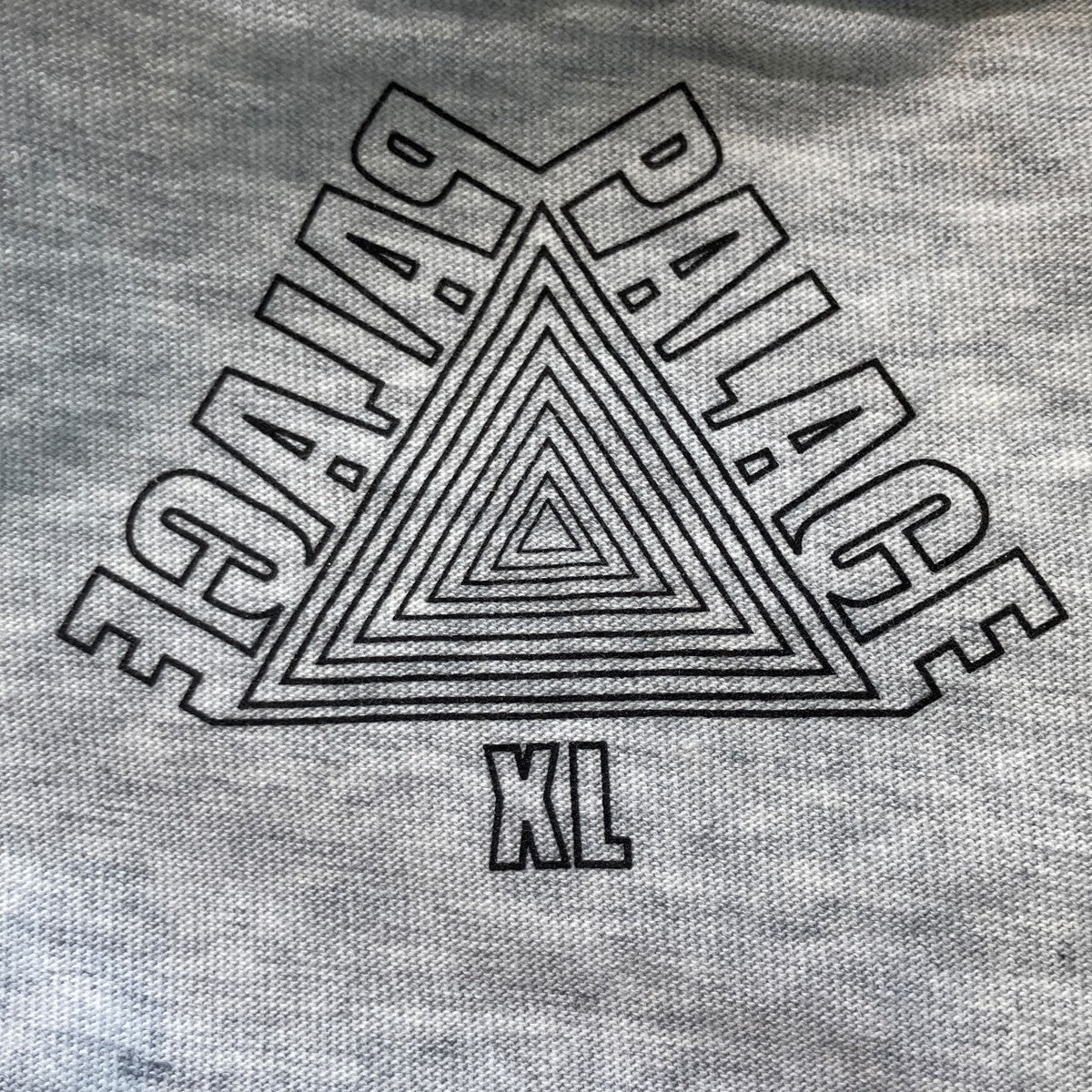 PALACE TRI LINGUAL T-SHIRT半袖Tシャツ 古着・中古-5枚目のアイテム画像