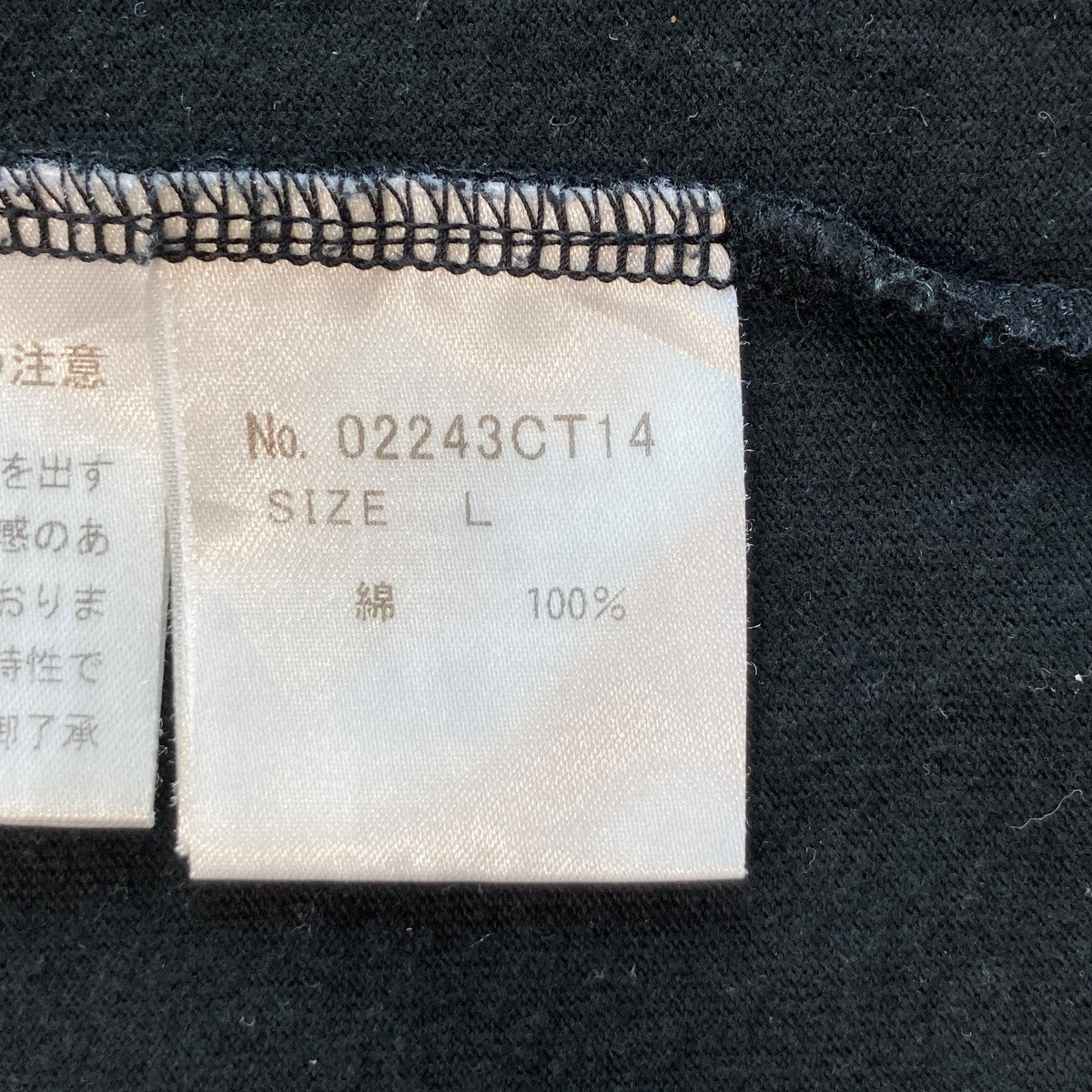 Tシャツ02243ct14