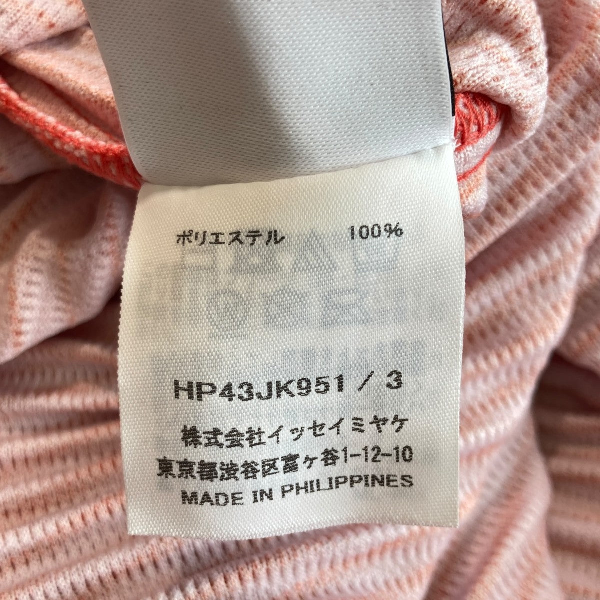HOMME PLISSE ISSEY MIYAKE RB ALL OVER PLEATSプリーツ長袖カットソーHP43JK951 古着・中古-4枚目のアイテム画像
