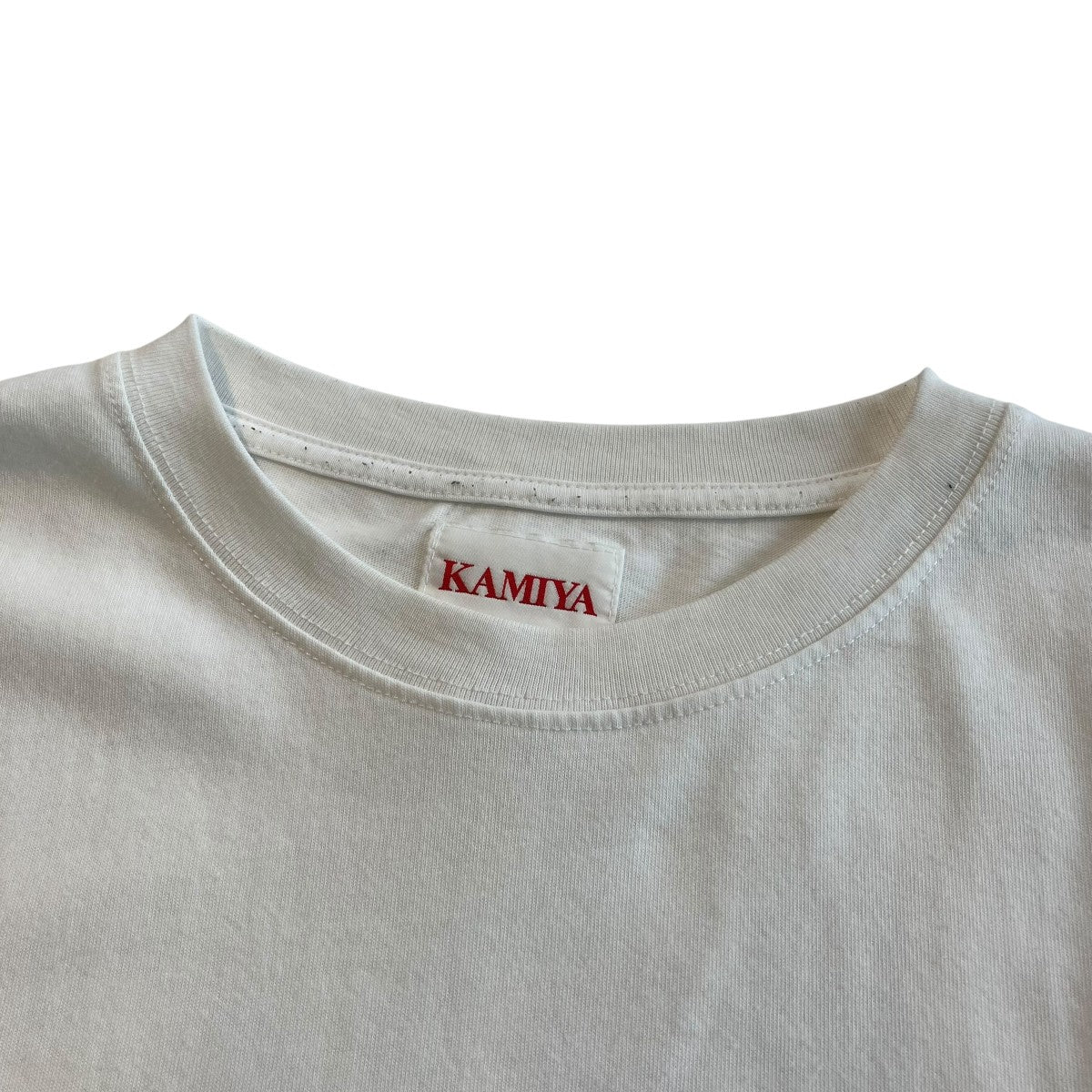 LOVING T-shirtTシャツG16TS095
