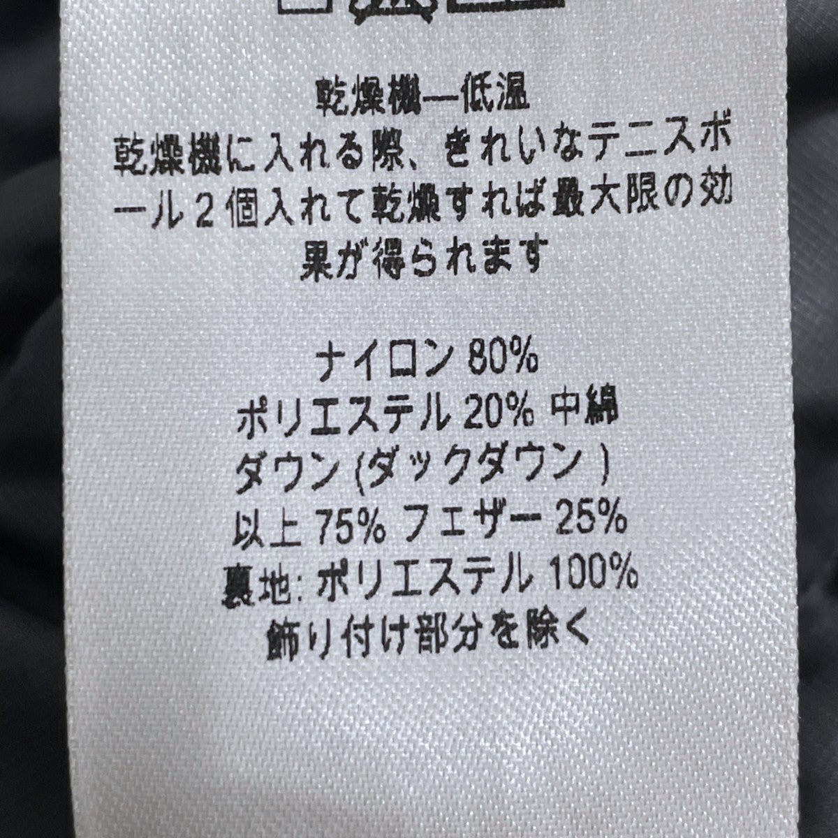 17AW ダウンジャケット Windsweep Down Hoody ウインドスウィープ ダウン フーディ 84890FA17