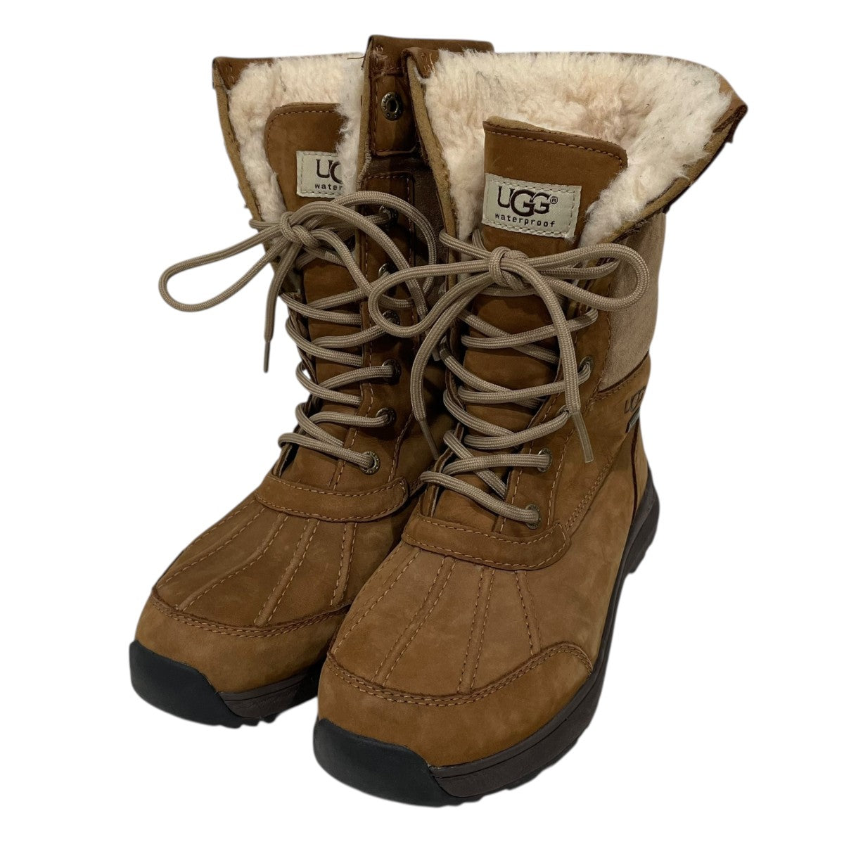 HAMCUS ハムカス size2 ※相場最安値 ※希少 heliot emil Amazon.co.jp: Albuca humilis 多肉植物：アルブカ フミリス S