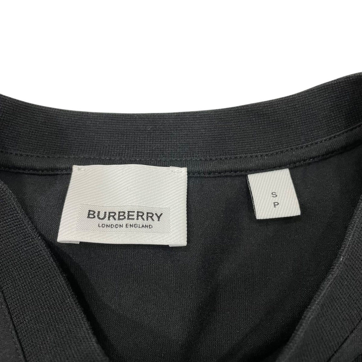 BURBERRY(バーバリー) EMERSON TBロゴプリント Tシャツ8017472