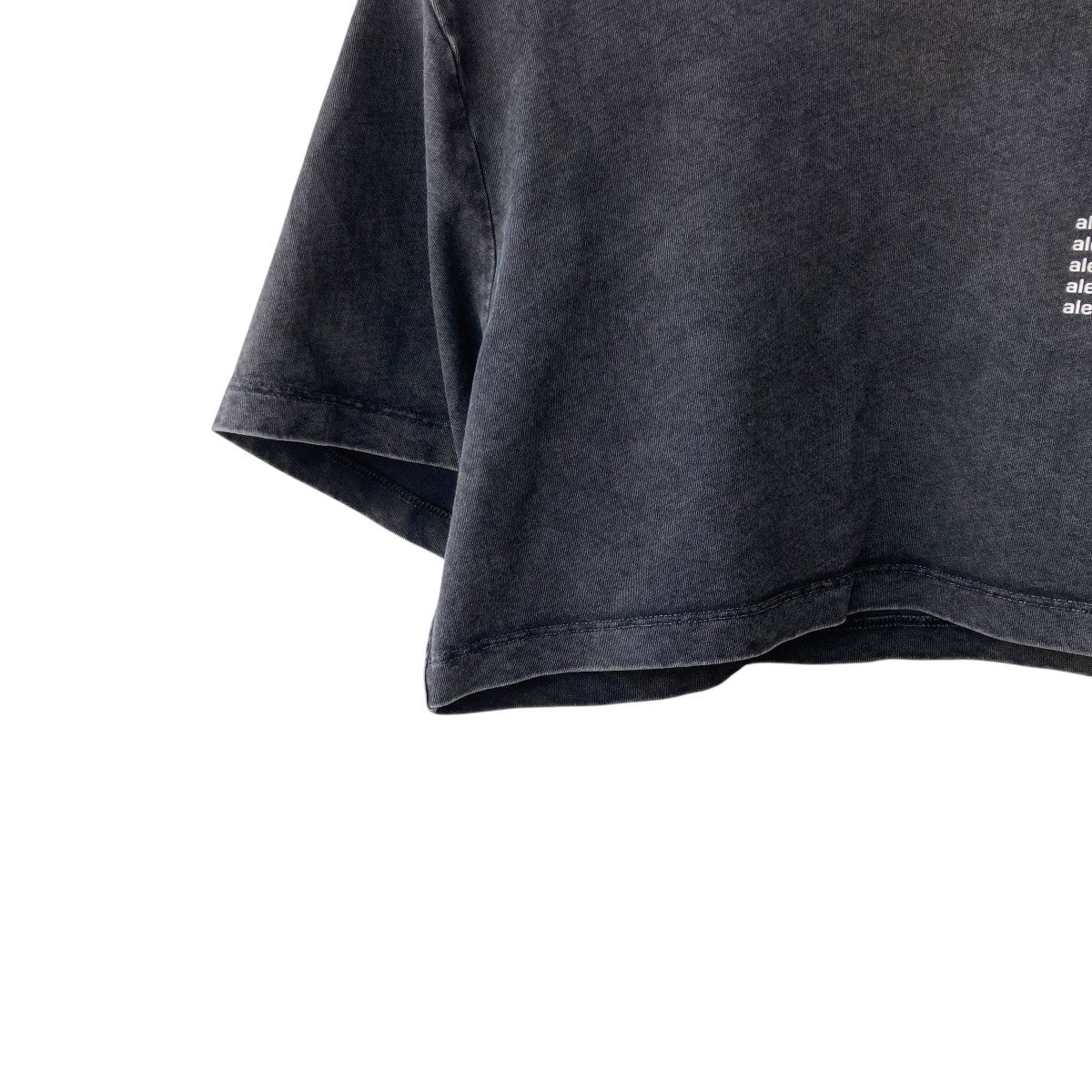 alexanderwang クロップドTシャツ グレー ALEXANDER WANG(アレキサンダーワン) クロップド オーバーダイT