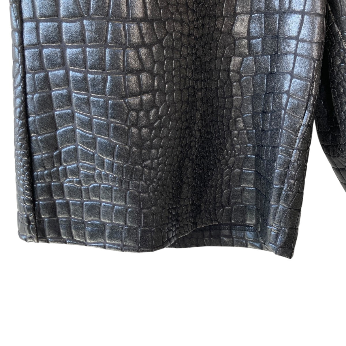 COMME des GARCONS HOMME PLUS(コムデギャルソンオムプリュス
