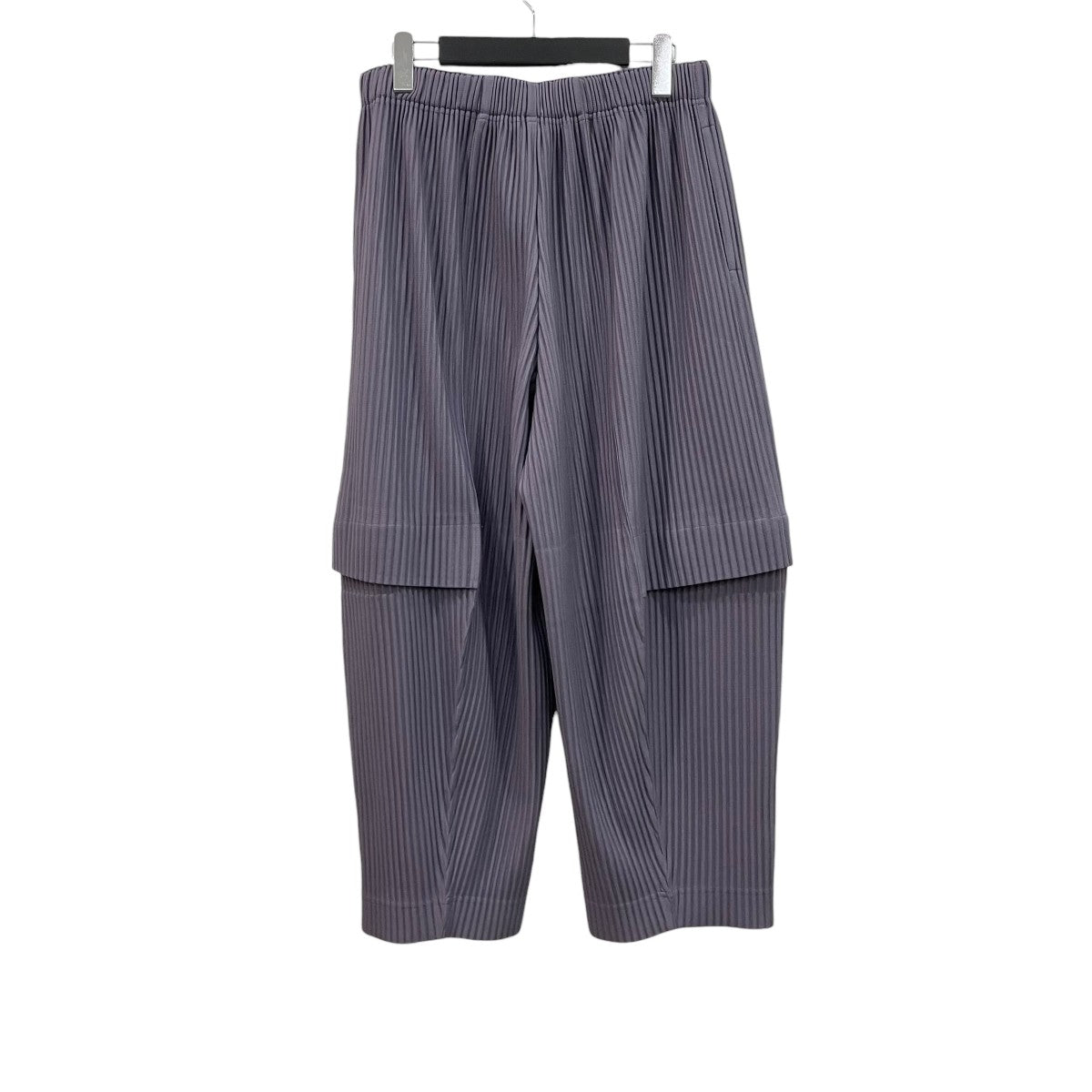 HOMME PLISSE ISSEY MIYAKE 23SSカーゴパンツHP31JF175 古着・中古-2枚目のアイテム画像