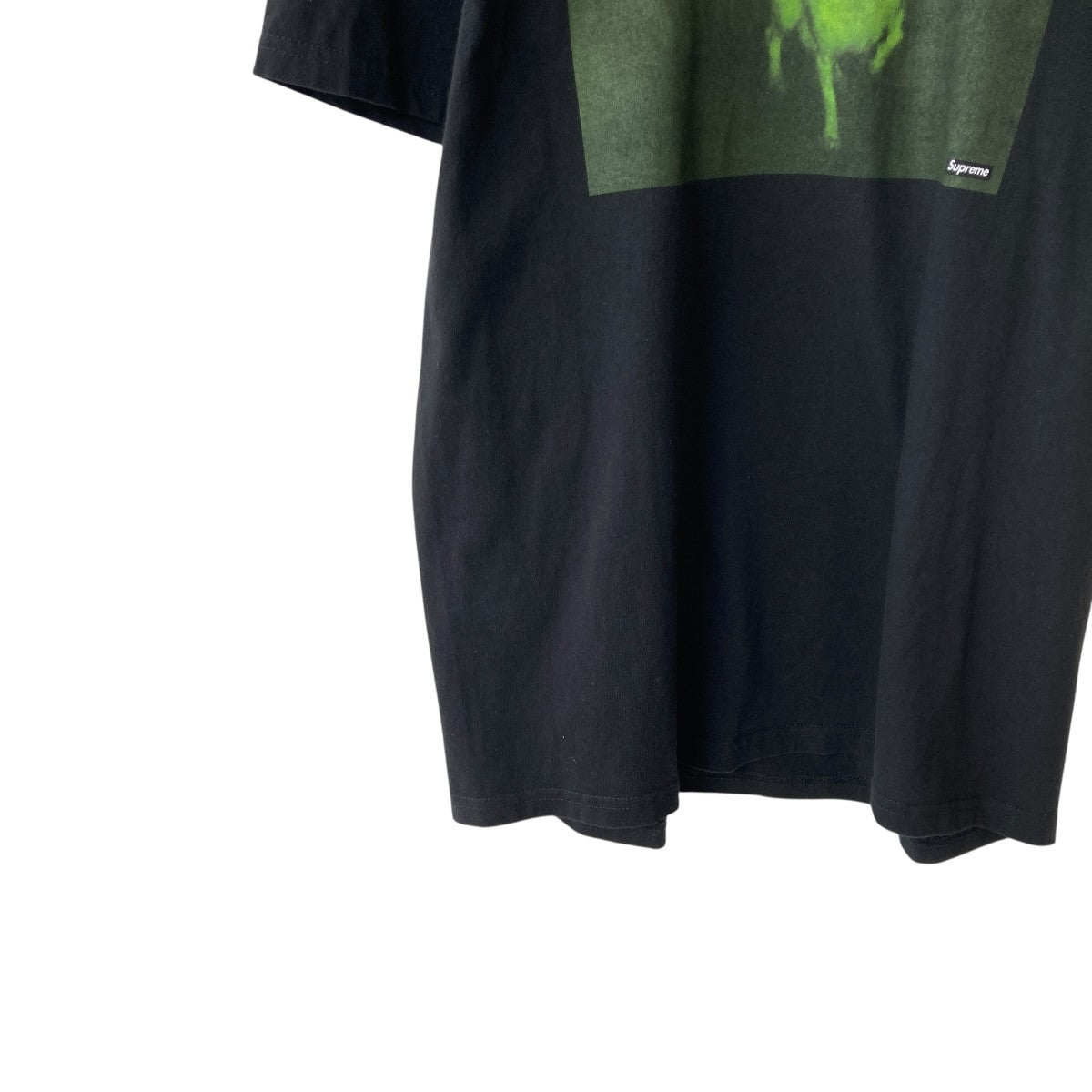 Supreme 18AWChris Cunningham Chihuahua TeeTシャツ 古着・中古-4枚目のアイテム画像