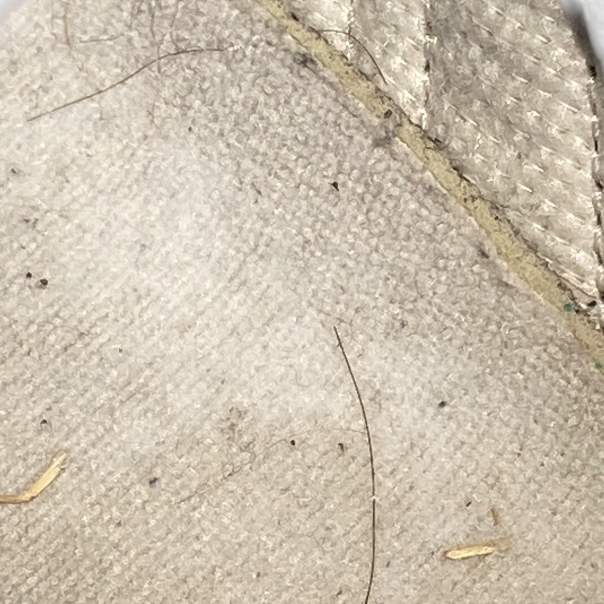 Samba OGローカットスニーカーB75806