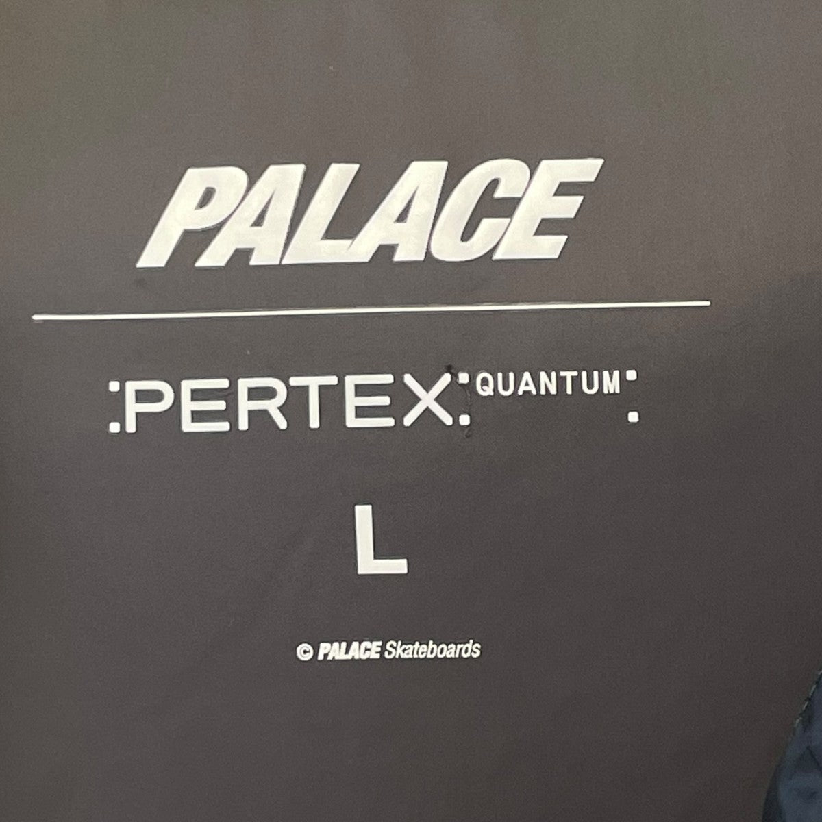 PALACE 25AWPERTEX QUANTUM RSダウンジャケット 古着・中古-5枚目のアイテム画像