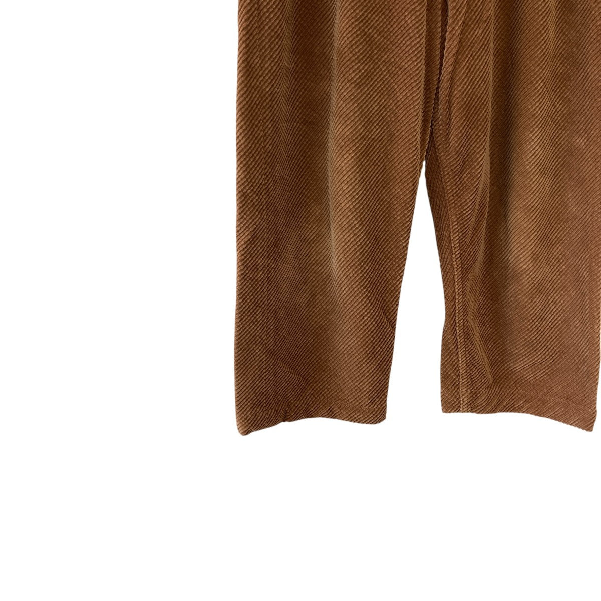 COMME des GARCONS HOMME PLUS EVER GREEN コーデュロイパンツPR-P212 古着・中古-4枚目のアイテム画像