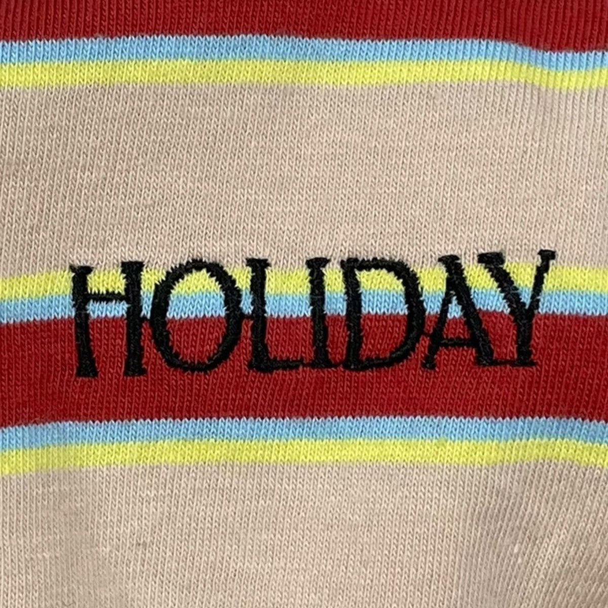 HOLIDAY 24SS ボーダー柄Tシャツ SUPER FINE BORDER S／S T-SHIRT スーパー ファイン ボーダー ショートスリーブ ティーシャツ 24101107 古着・中古-4枚目のアイテム画像