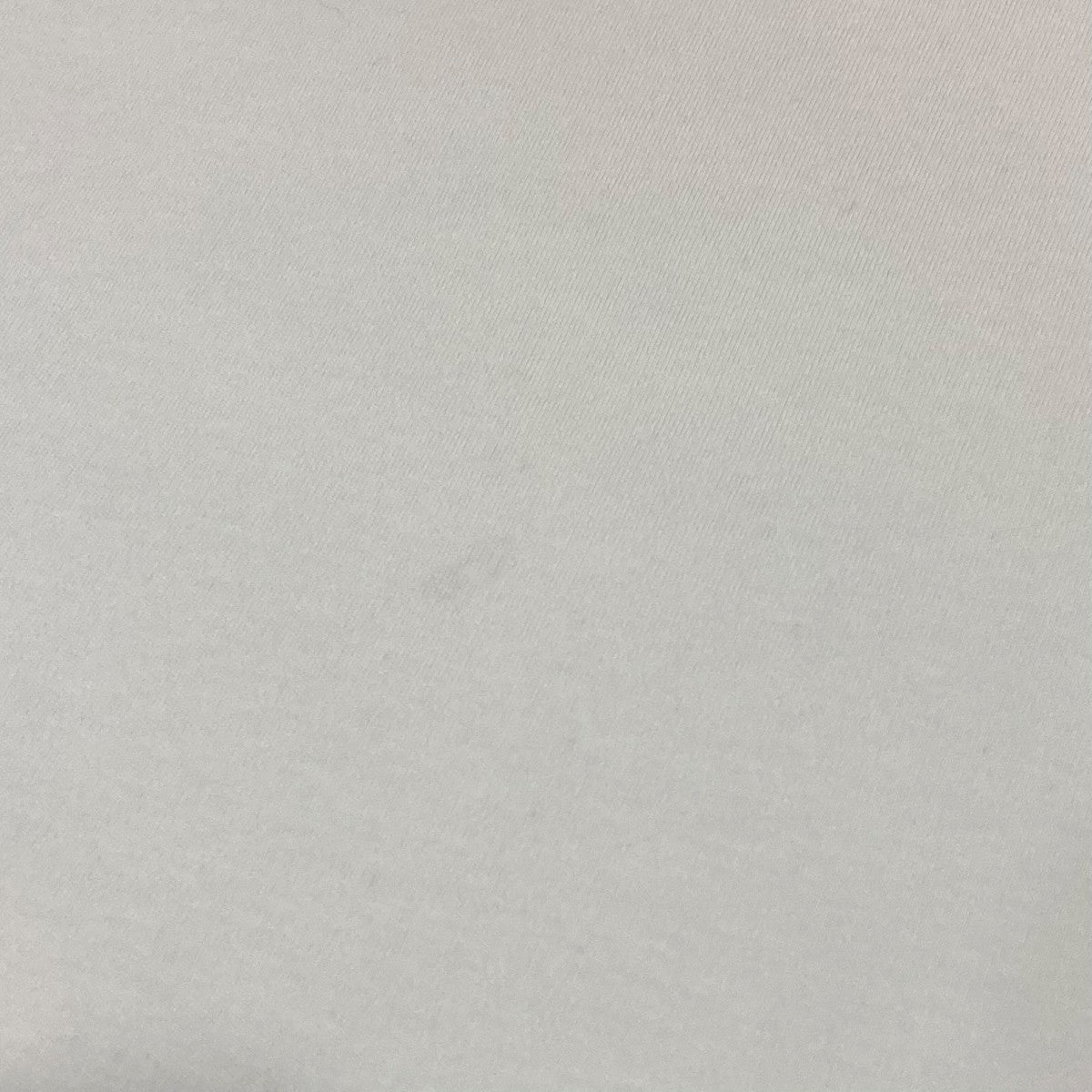半袖Tシャツ65172990676