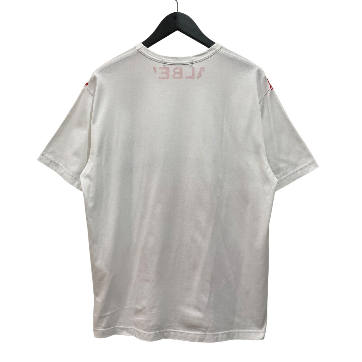 綿度詰め天竺 PINK FLOID半袖ＴシャツWNT005