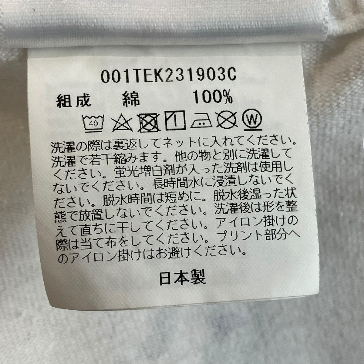 Tシャツ001TEK231903C