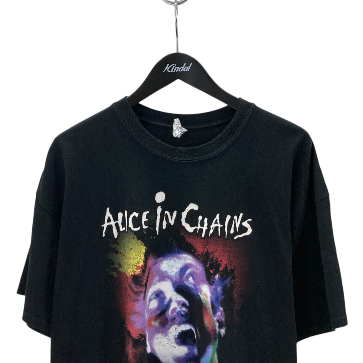 GILDAN Alice in Chains半袖Tシャツ 古着・中古-2枚目のアイテム画像
