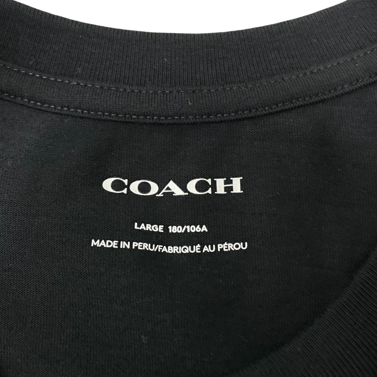 TシャツC5694