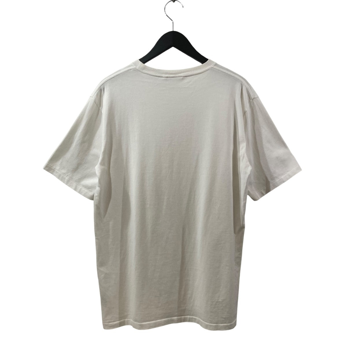 LUSTER PLAITING TEE半袖TシャツA00P02GT