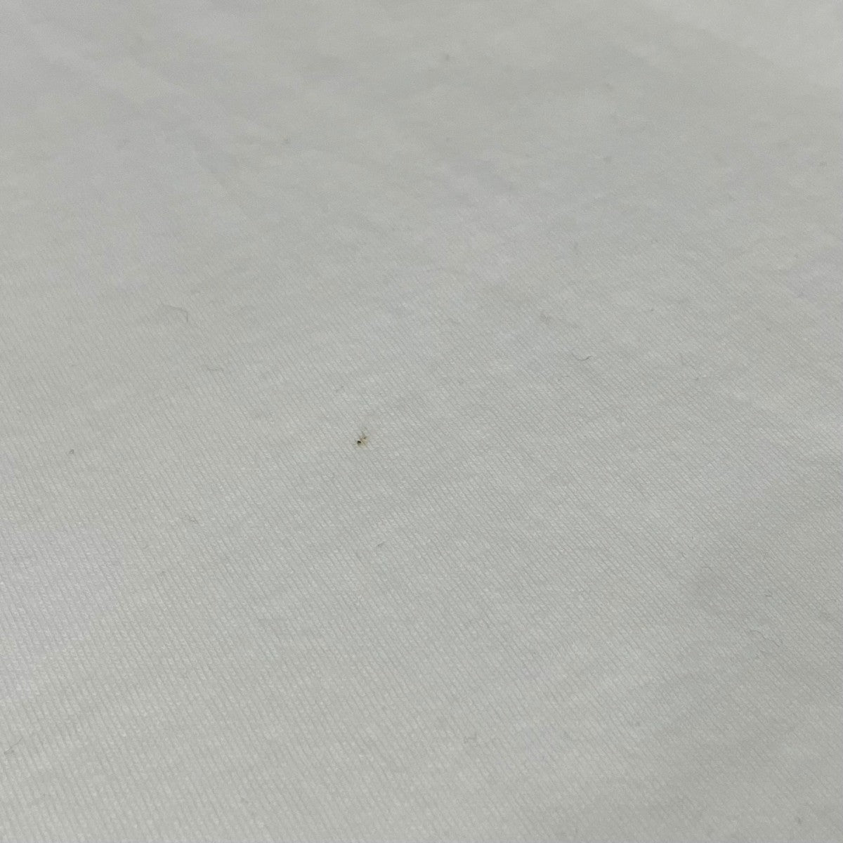 半袖カットソー