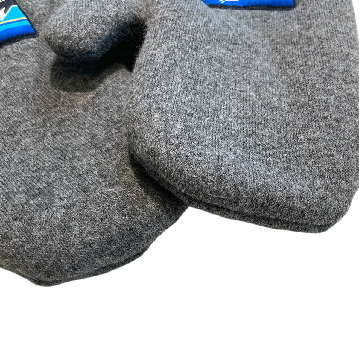 FLEECE MITT手袋
