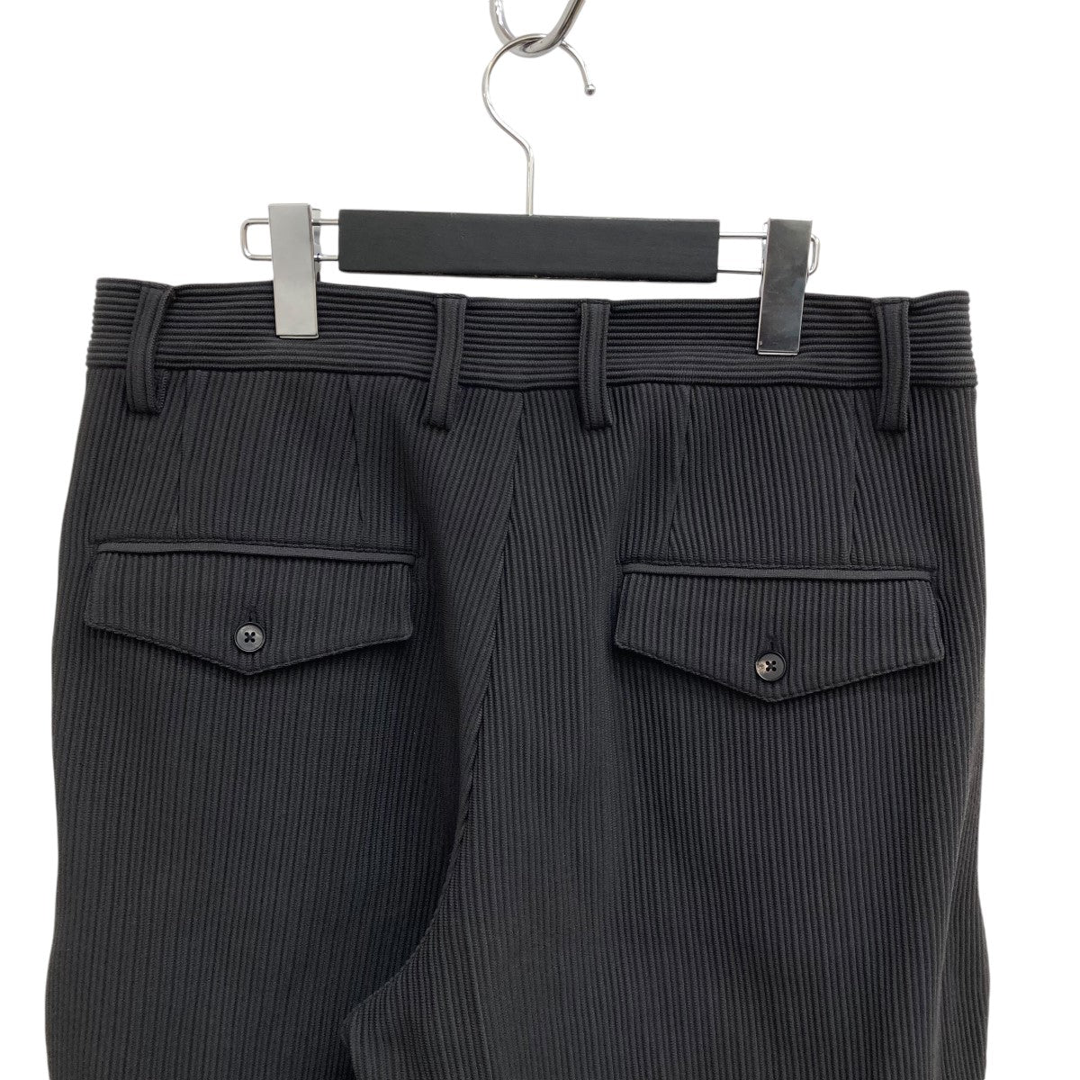 stein(シュタイン) 22SSGRADATION PLEATS TWO TUCK TROUSERS