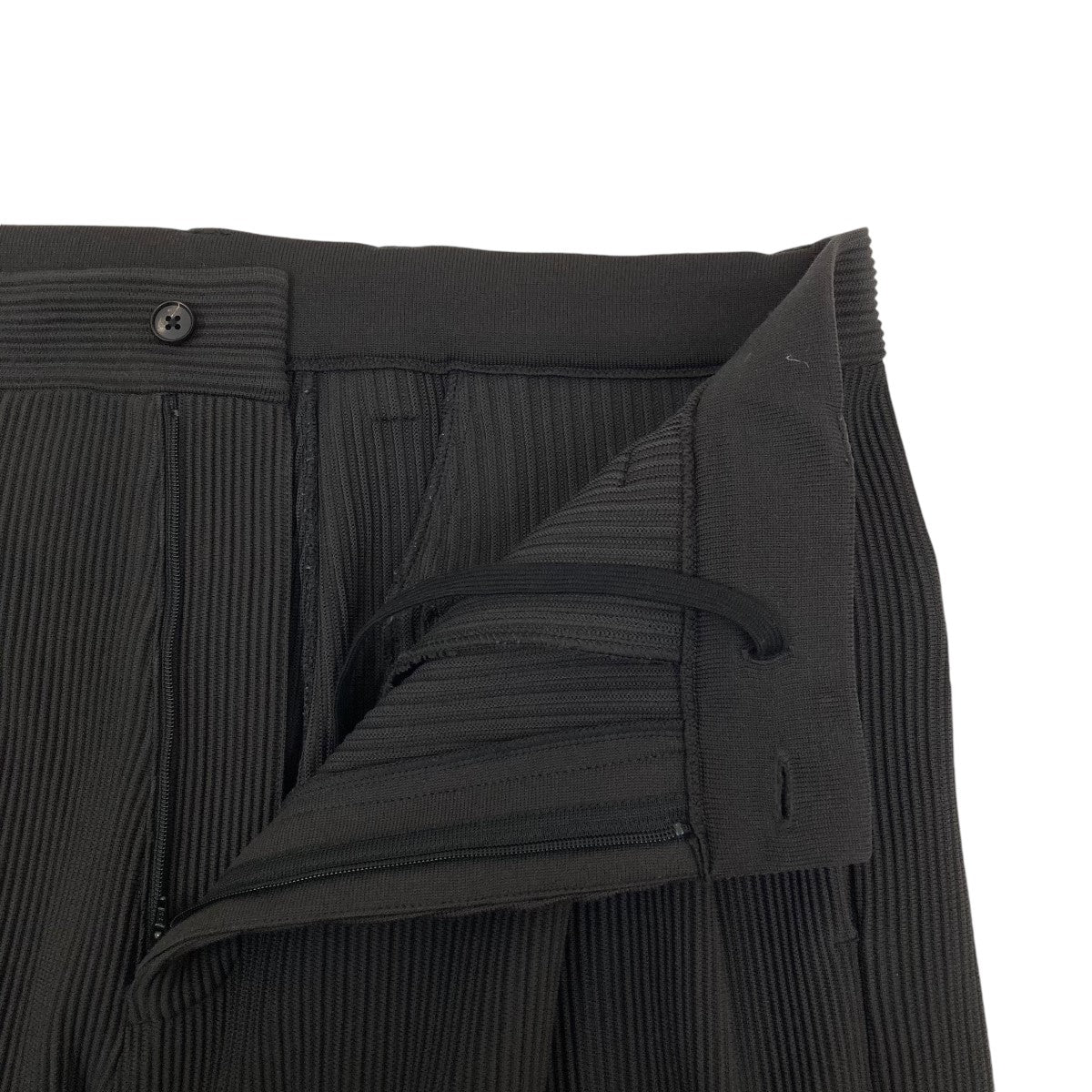 stein(シュタイン) 22SSGRADATION PLEATS TWO TUCK TROUSERS