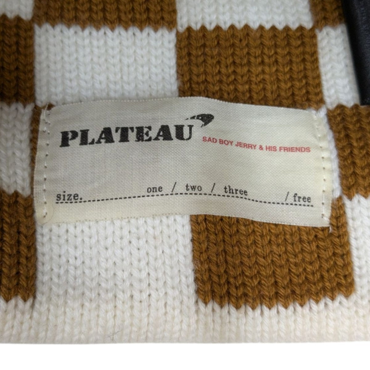 Check beanieニットキャップpla24awkt04-2