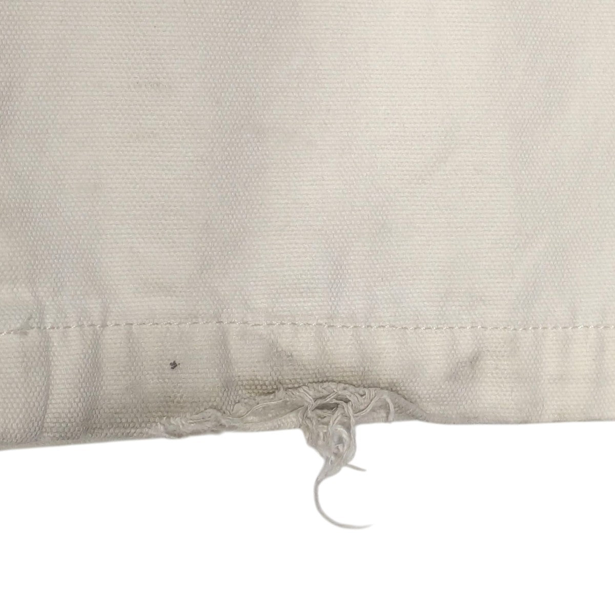 stussy(ステューシー) ダブルニーペインターパンツ116496 116496