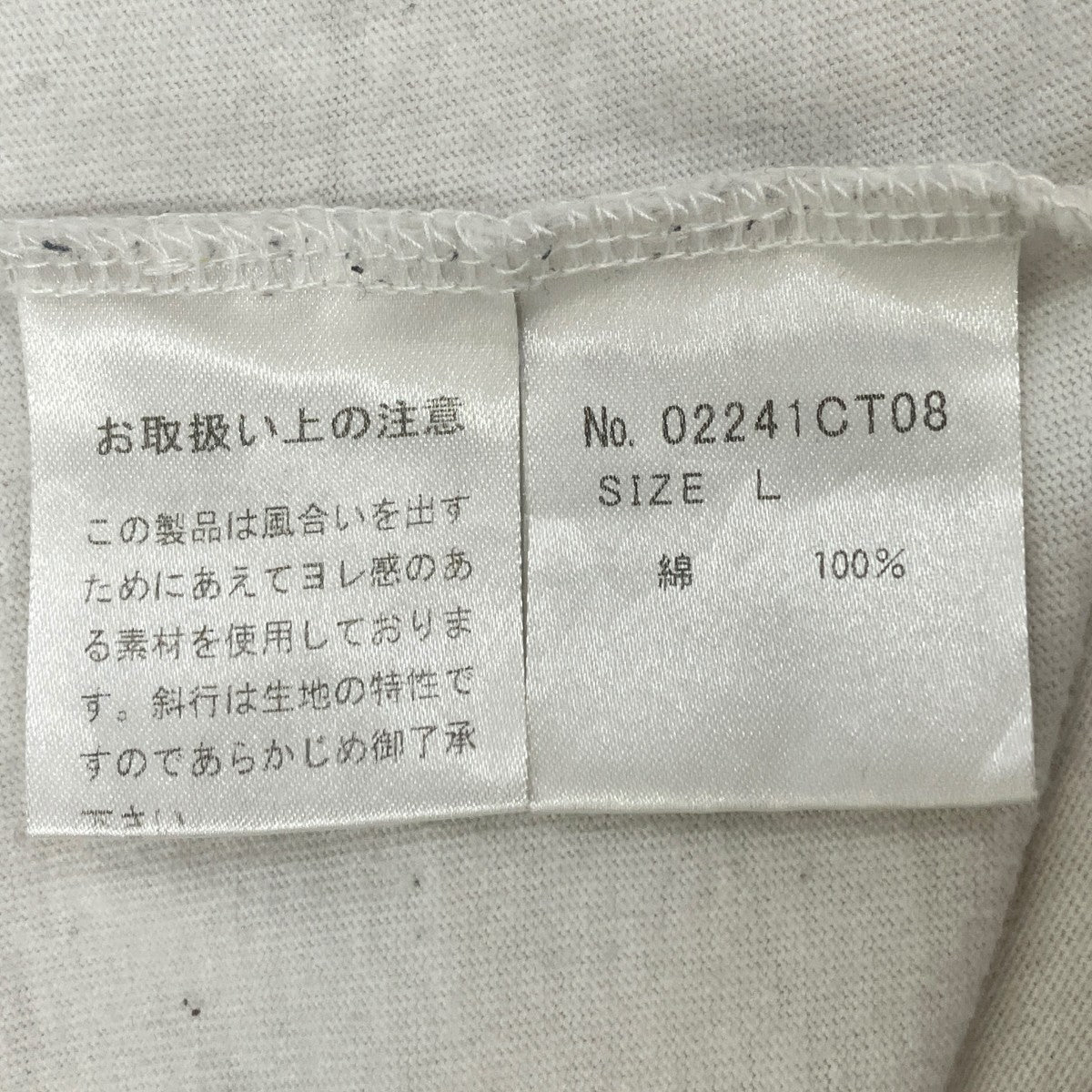 Tシャツ02241CT08