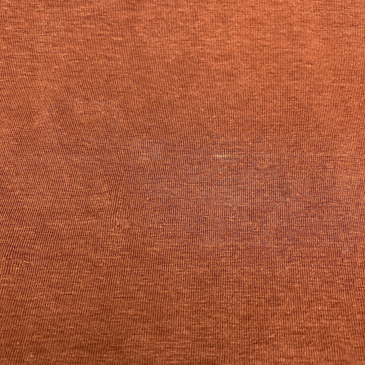STRETCH LINEN JERSEY TEETシャツA21ST02LT