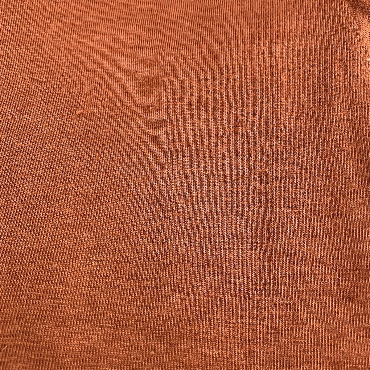 STRETCH LINEN JERSEY TEETシャツA21ST02LT